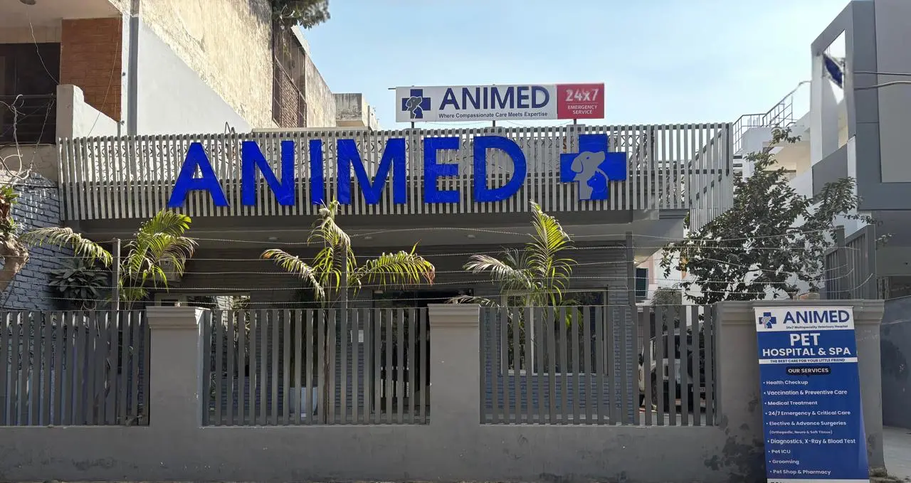 Animed Veterinary Clinic photo 1