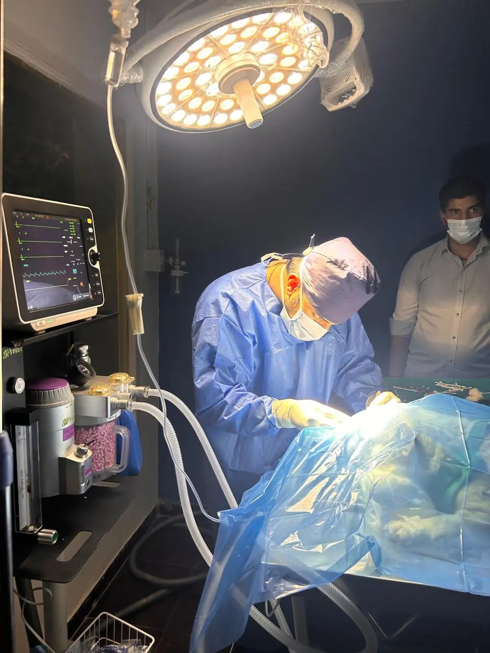 Animed Veterinary Clinic photo 12