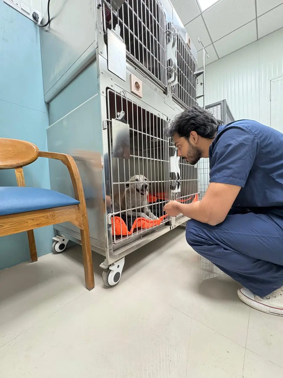 Animed Veterinary Clinic photo 14