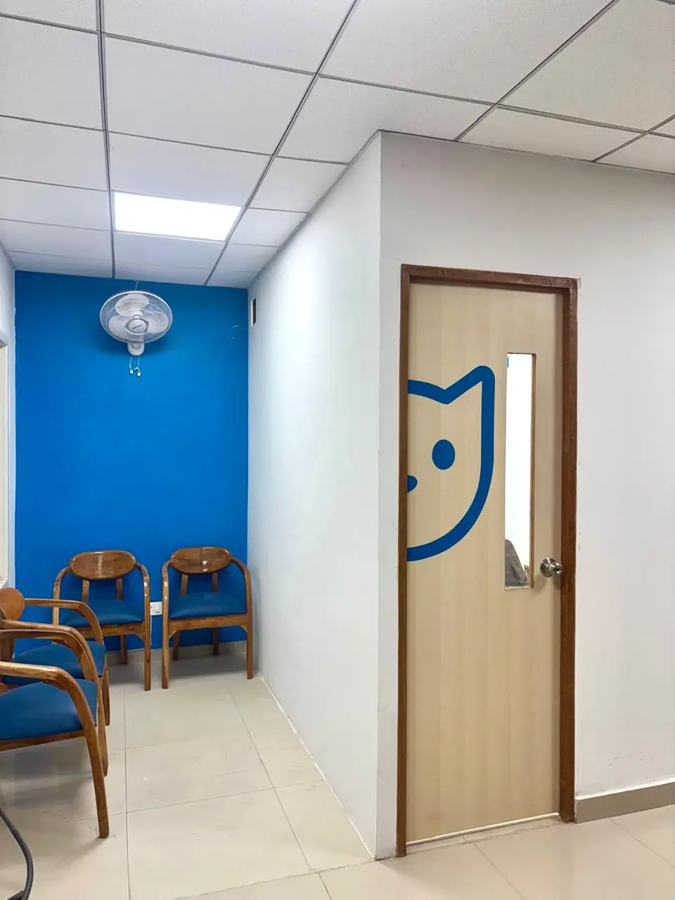 Animed Veterinary Clinic photo 3