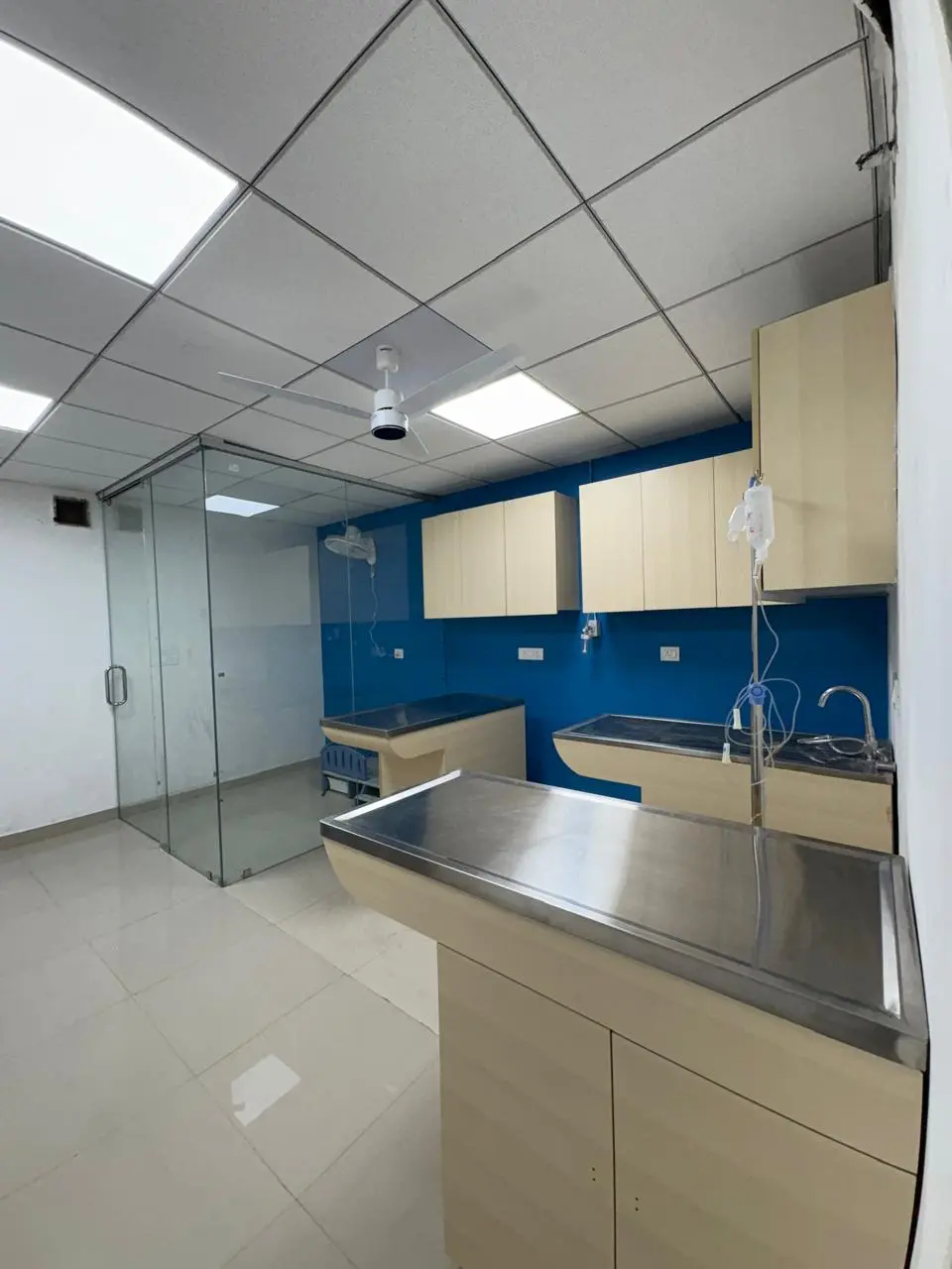 Animed Veterinary Clinic photo 5