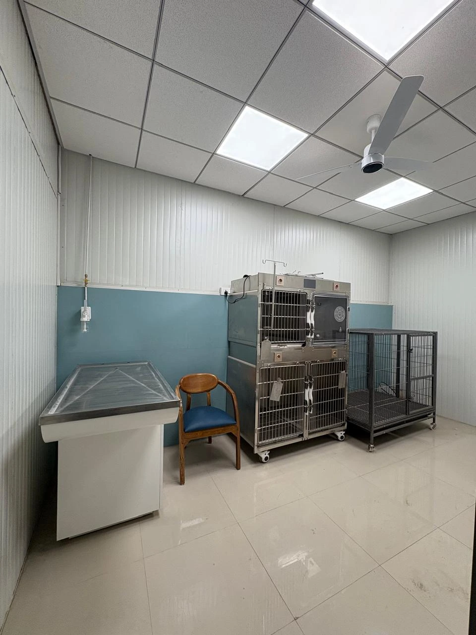 Animed Veterinary Clinic photo 8