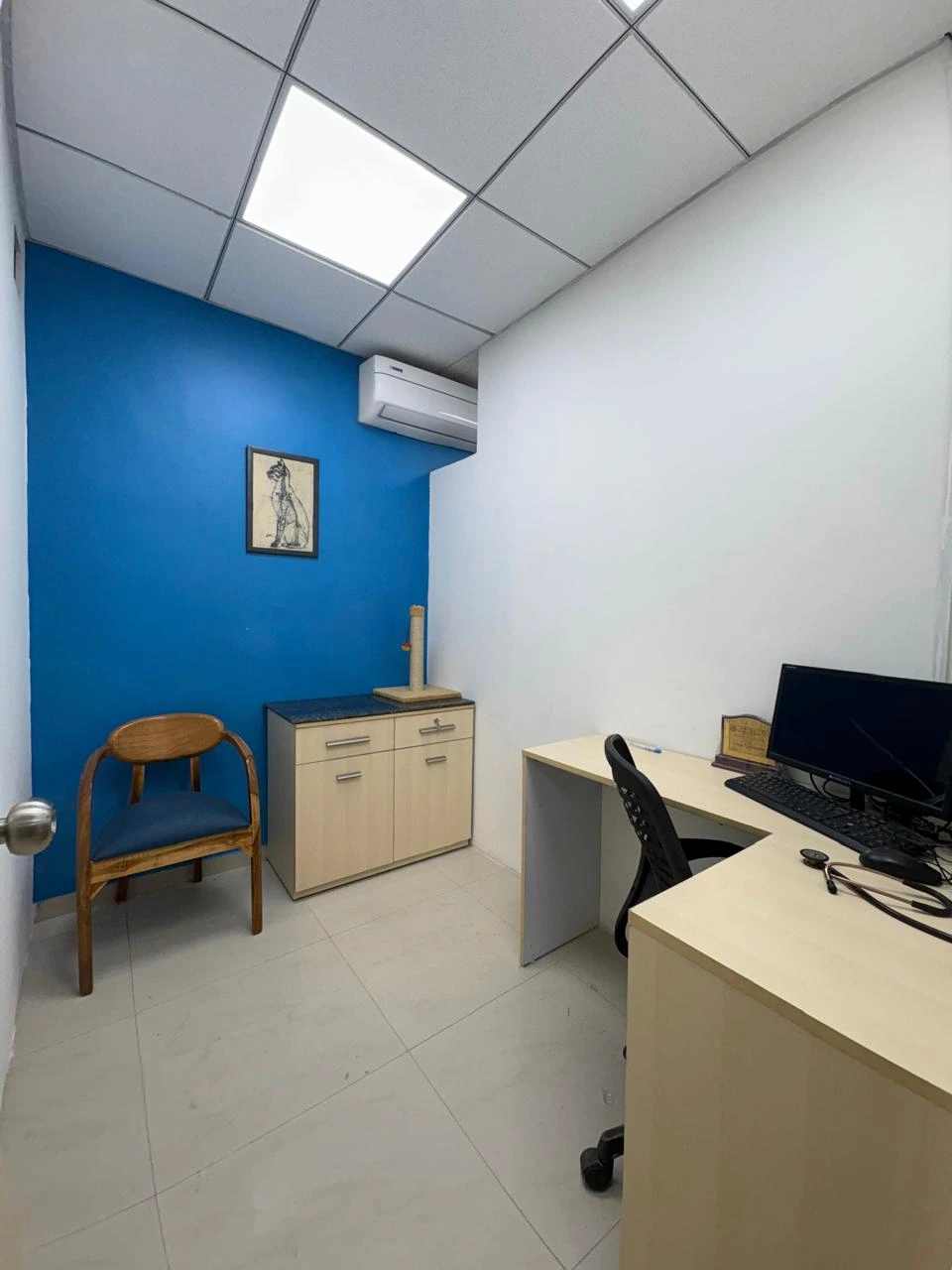 Animed Veterinary Clinic photo 9